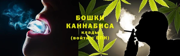 шишки Остров
