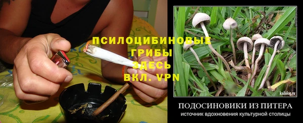 дурь Балабаново